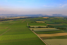Horbachniederung am Morgen im Ortsteil Ingenheim in Billigheim-Ingenheim im Bundesland Rheinland-Pfalz, Deutschland