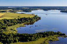 Waldgebiete an Uferbucht im moorfarbenen Åsnen-See bei Hunna in Småland in Kronobergs län in Grimslöv, Schweden