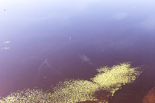 Odensjö im Bundesland Kronoberg, Schweden aus der Vogelperspektive