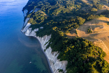 Waldgebiete des Møns Klint am Steilufer der Ostsee in Borre in Region Själland im Bundesland Sjælland, Dänemark