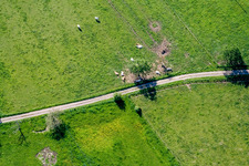 Schrägluftbild von Ernolsheim-lès-Saverne im Bundesland Bas-Rhin, Frankreich