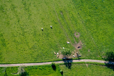Ernolsheim-lès-Saverne im Bundesland Bas-Rhin, Frankreich von oben