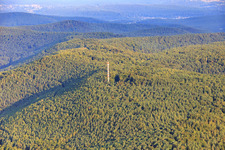 Sendemast auf dem Weinbiet in Kallstadt im Bundesland Rheinland-Pfalz, Deutschland