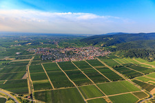 Stadtansicht aus Norden in Wachenheim an der Weinstraße im Bundesland Rheinland-Pfalz, Deutschland