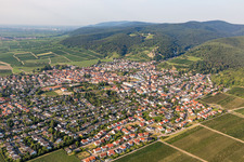 Von Wald und Forstgebieten umgebener Ortskern der Straßen und Häuser und Wohngebiete in Wachenheim an der Weinstraße im Bundesland Rheinland-Pfalz, Deutschland