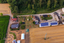 Maislabyrinth, Hochzeitslocation und Beachlounge in Steinweiler Seehof im Bundesland Rheinland-Pfalz, Deutschland von oben