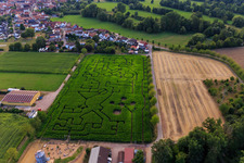 Maislabyrinth, Hochzeitslocation und Beachlounge in Steinweiler Seehof im Bundesland Rheinland-Pfalz, Deutschland aus der Luft