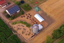 Drohnenaufname von Steinweiler, Maislabyrinth am Seehof im Bundesland Rheinland-Pfalz, Deutschland