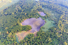 Weingartener Moor im Bundesland Baden-Württemberg, Deutschland