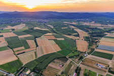 Südliche Weinstraße aus Südosten im Ortsteil Rechtenbach in Schweigen-Rechtenbach im Bundesland Rheinland-Pfalz, Deutschland