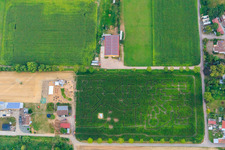 Maislabyrinth, Hochzeitslocation und Beachlounge in Steinweiler Seehof im Bundesland Rheinland-Pfalz, Deutschland von einer Drohne aus