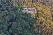 Burgruine Lindelbrunn in Vorderweidenthal im Bundesland Rheinland-Pfalz, Deutschland aus der Luft