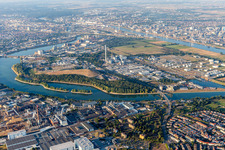 Luftbild von Friesenheimer Insel im Ortsteil Neckarstadt-West in Mannheim im Bundesland Baden-Württemberg, Deutschland
