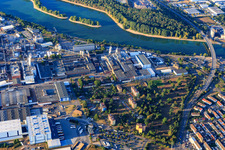 Essity Operations Mannheim GmbH im Ortsteil Sandhofen im Bundesland Baden-Württemberg, Deutschland