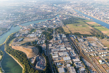 Friesenheimer Insel im Ortsteil Neckarstadt-West in Mannheim im Bundesland Baden-Württemberg, Deutschland von oben