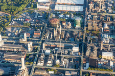 Schrägluftbild von Ortsteil BASF in Ludwigshafen am Rhein im Bundesland Rheinland-Pfalz, Deutschland