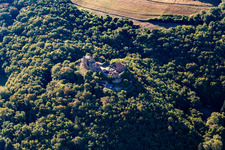 Burgruine Montfort in Hallgarten im Bundesland Rheinland-Pfalz, Deutschland