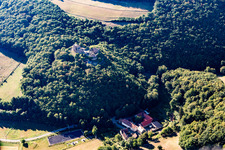 Luftbild von Burgruine Montfort in Hallgarten im Bundesland Rheinland-Pfalz, Deutschland