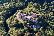 Schrägluftbild von Burgruine Montfort in Hallgarten im Bundesland Rheinland-Pfalz, Deutschland