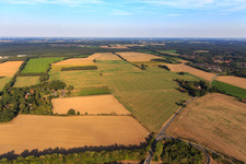 Feler zwischen Göxe und Hagen in Wendisch Evern im Bundesland Niedersachsen, Deutschland