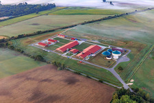 Graben 24 mit  Lehrwerkstatt Schwein des Landwirtschaftlichen Bildungszentrums (LBZ) Echem in Scharnebeck im Bundesland Niedersachsen, Deutschland