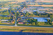 Gewächshaus einer Gärtner am Kiebitsdeich im Ortsteil Neuengamme in Hamburg, Deutschland