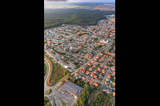 Buchstraße, Forstlandallee in Jockgrim im Bundesland Rheinland-Pfalz, Deutschland