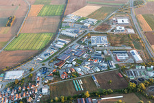 Rülzheim im Bundesland Rheinland-Pfalz, Deutschland vom Flugzeug aus