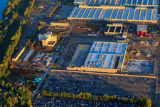 Insel Grün mit Baustelle der MOSOLF Logistics & Services GmbH in Germersheim im Bundesland Rheinland-Pfalz, Deutschland