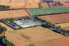 Gärtnerei Löwen in Seligenstadt im Bundesland Hessen, Deutschland