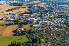 Industriegebiet mit Timo Grimm e. K. und derseiler in Seligenstadt im Bundesland Hessen, Deutschland