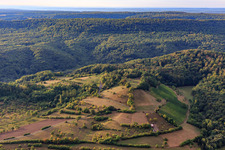 Ehemalige Weinberge am Hang mit Feldern und Hecken im Ortsteil Zell am Ebersberg in Knetzgau im Bundesland Bayern, Deutschland