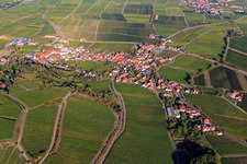 Luftaufnahme von Weinlage Haardtrand-Annaberg in Burrweiler im Bundesland Rheinland-Pfalz, Deutschland