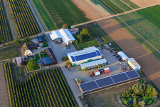 Luftbild von Biolandwirt Bauers Garten in Winden im Bundesland Rheinland-Pfalz, Deutschland
