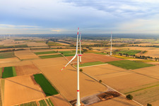 Windpark der EnBW - Windenergieanlage mit 6 Windrädern in Freckenfeld im Bundesland Rheinland-Pfalz, Deutschland vom Flugzeug aus