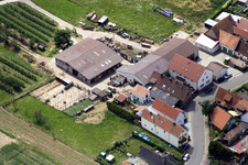 Schrägluftbild von Wiesenstr im Ortsteil Mühlhofen in Billigheim-Ingenheim im Bundesland Rheinland-Pfalz, Deutschland