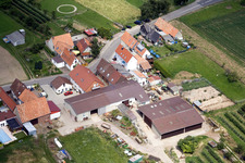 Wiesenstr im Ortsteil Mühlhofen in Billigheim-Ingenheim im Bundesland Rheinland-Pfalz, Deutschland von einer Drohne aus