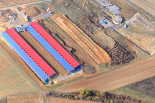 Moderner Stallbau im Ortsteil Rinschheim in Buchen im Bundesland Baden-Württemberg, Deutschland