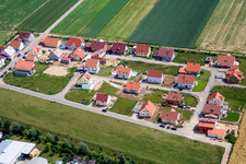 Ahornweg in Steinweiler im Bundesland Rheinland-Pfalz, Deutschland aus der Luft