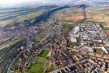 Bahlingen am Kaiserstuhl im Bundesland Baden-Württemberg, Deutschland