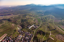 Luftaufnahme von Bahlingen am Kaiserstuhl im Bundesland Baden-Württemberg, Deutschland