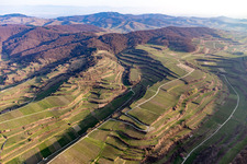 Endingen am Kaiserstuhl im Bundesland Baden-Württemberg, Deutschland