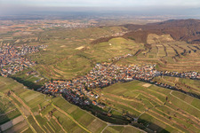 Schrägluftbild von Kiechlinsbergen in Endingen am Kaiserstuhl im Bundesland Baden-Württemberg, Deutschland