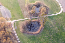 Biotop in Leimersheim im Bundesland Rheinland-Pfalz, Deutschland