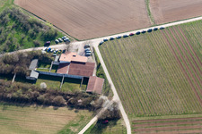 Schützenverein in Billigheim-Ingenheim im Bundesland Rheinland-Pfalz, Deutschland