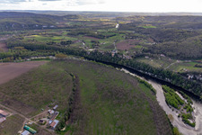 Walnuss-Plantagen auf der Dordogne Schleife in Vitrac, Frankreich