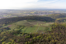 Luftaufnahme von Haardtrand-Wolfsteig in Pleisweiler-Oberhofen im Bundesland Rheinland-Pfalz, Deutschland