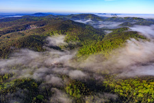 Luftbild von Morgennebel überm Erlenbach in Bad Bergzabern im Bundesland Rheinland-Pfalz, Deutschland