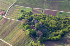 Chateau Saint Paul auf dem Sonnenberg in Wissembourg im Bundesland Bas-Rhin, Frankreich aus der Luft