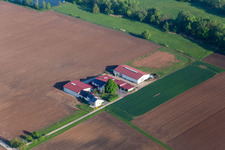 Wein- und Sektgut Rosenhof in Steinweiler im Bundesland Rheinland-Pfalz, Deutschland